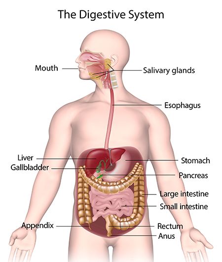 Thyroid Badhne Ke Lakshan